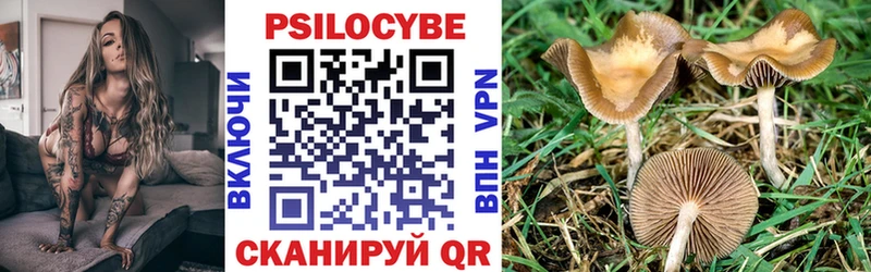 Галлюциногенные грибы прущие грибы  Купить закладки  Вяземский 